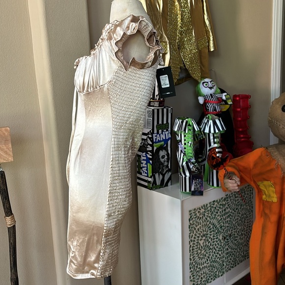 Dress NWT - Picture 3 of 5